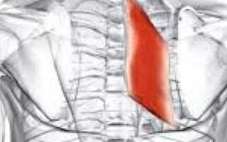 Неправильная осанка и проблемы из-за ромбовидной мышцы